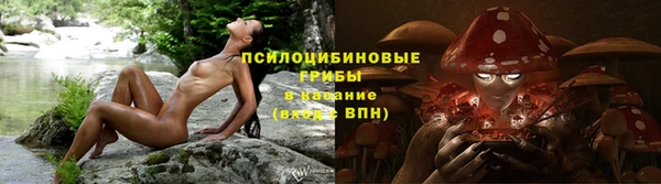 Альфа ПВП Абаза