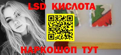 ГАЛЛЮЦИНОГЕННЫЕ ГРИБЫ Камышлов