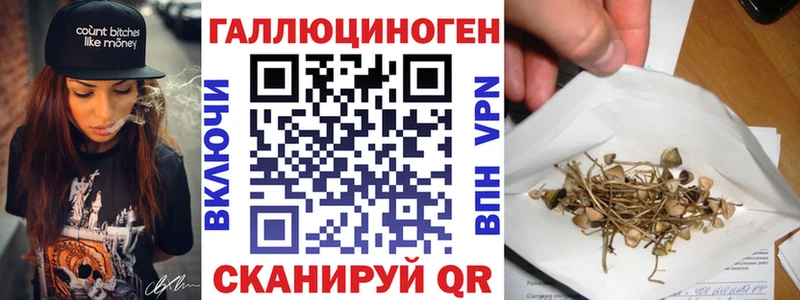 Псилоцибиновые грибы Psilocybine cubensis  Новоалтайск 