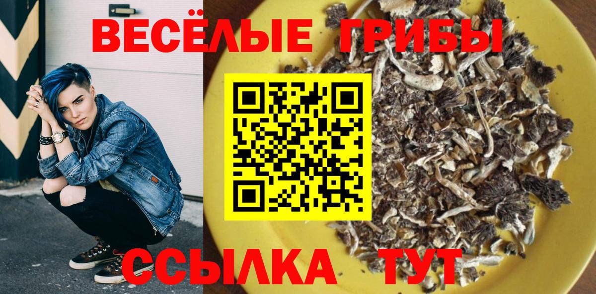Галлюциногенные грибы прущие грибы Новоалтайск
